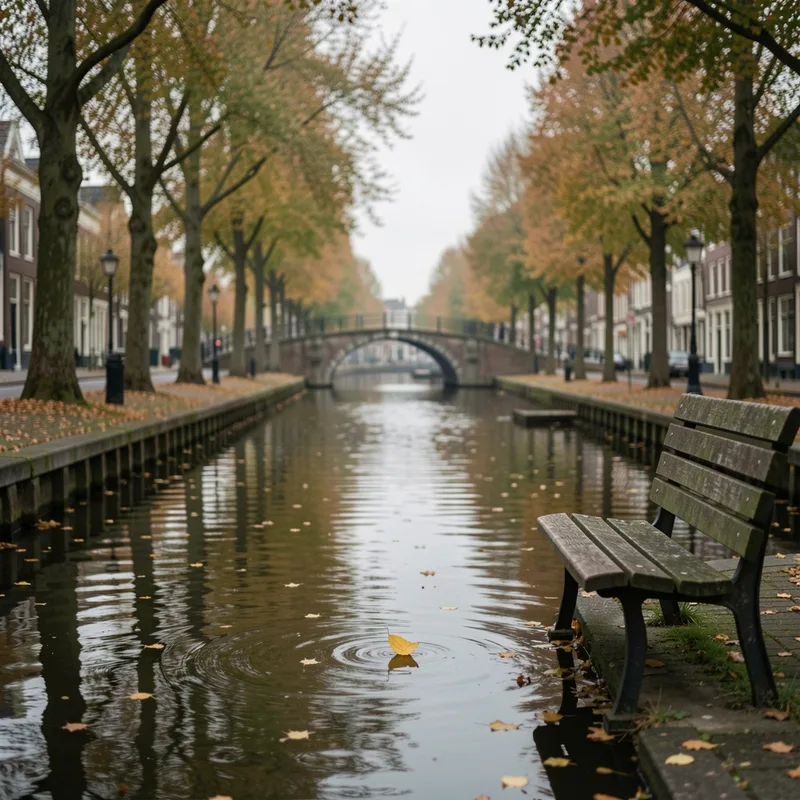 Banc de bois désert au bord d’un canal, feuille flottant à la surface de l’eau